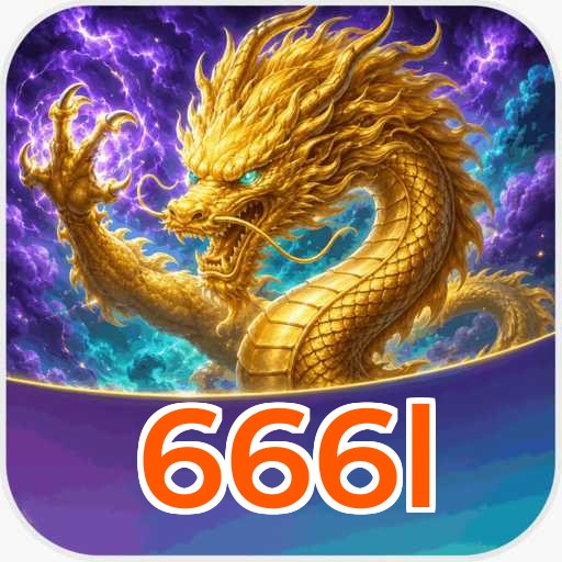 666l Technical Info