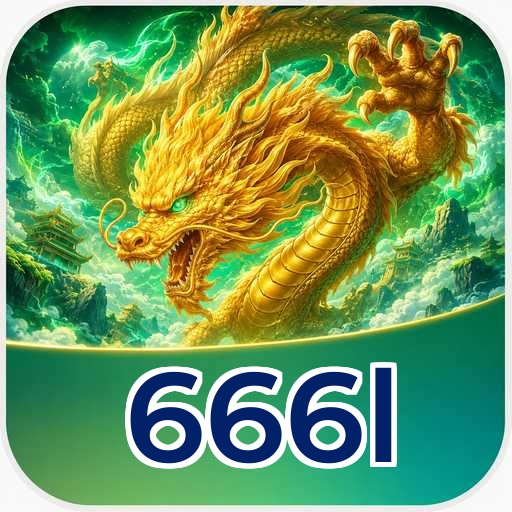 666l Technical Info